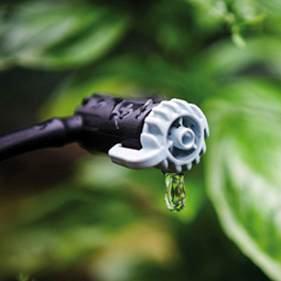 Microirrigazione